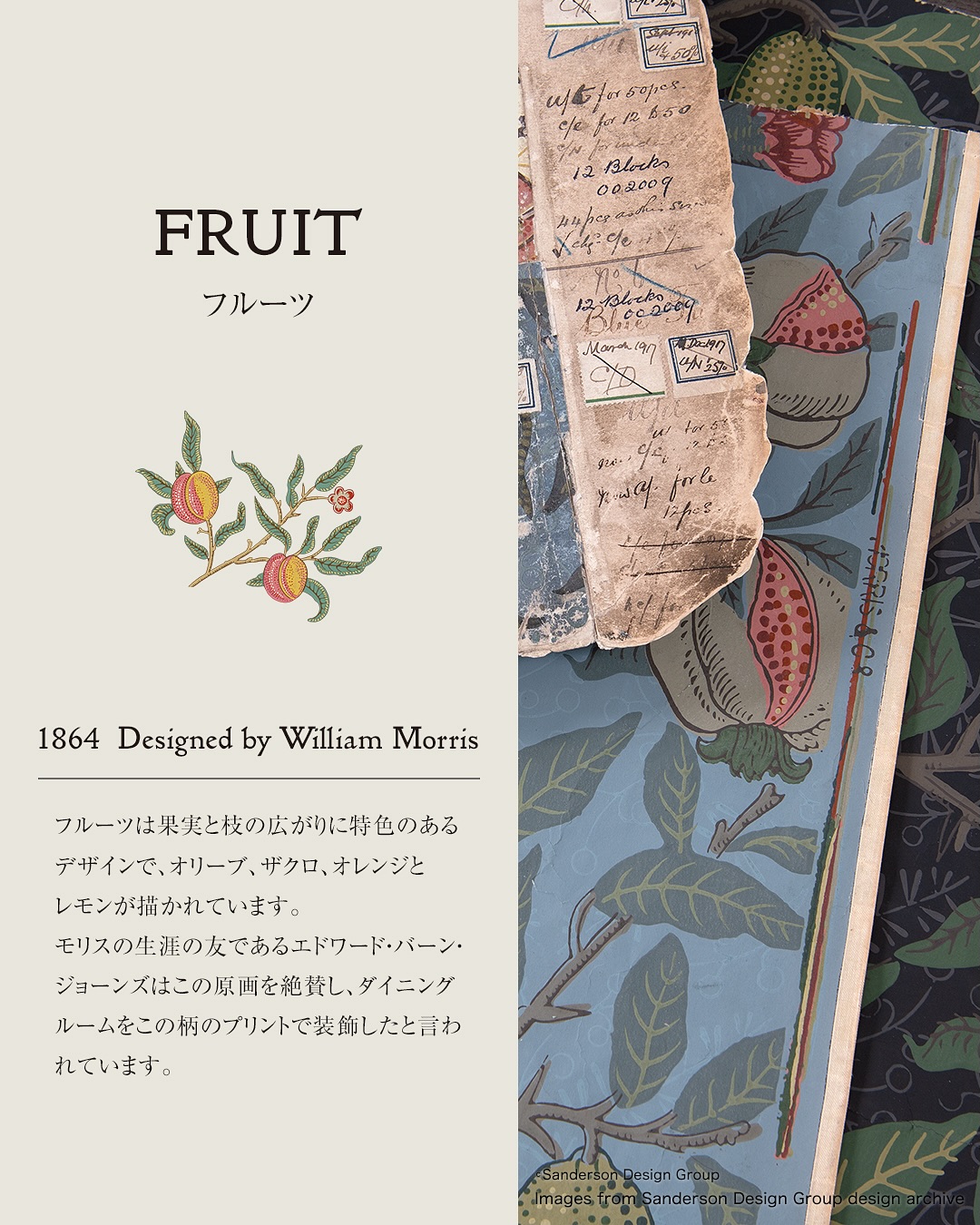 fruitmcf111hp-2